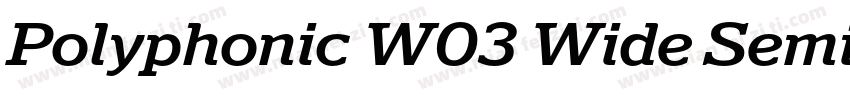Polyphonic W03 Wide SemiBold字体转换